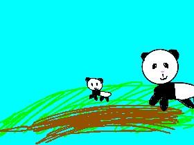 Panda Help