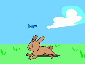 Bunny Run+Animation 1