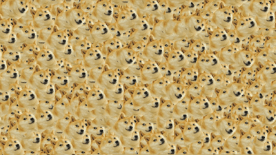 DOGE(Best Project EVER) 1