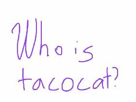 who the heck is tacocat?🐱