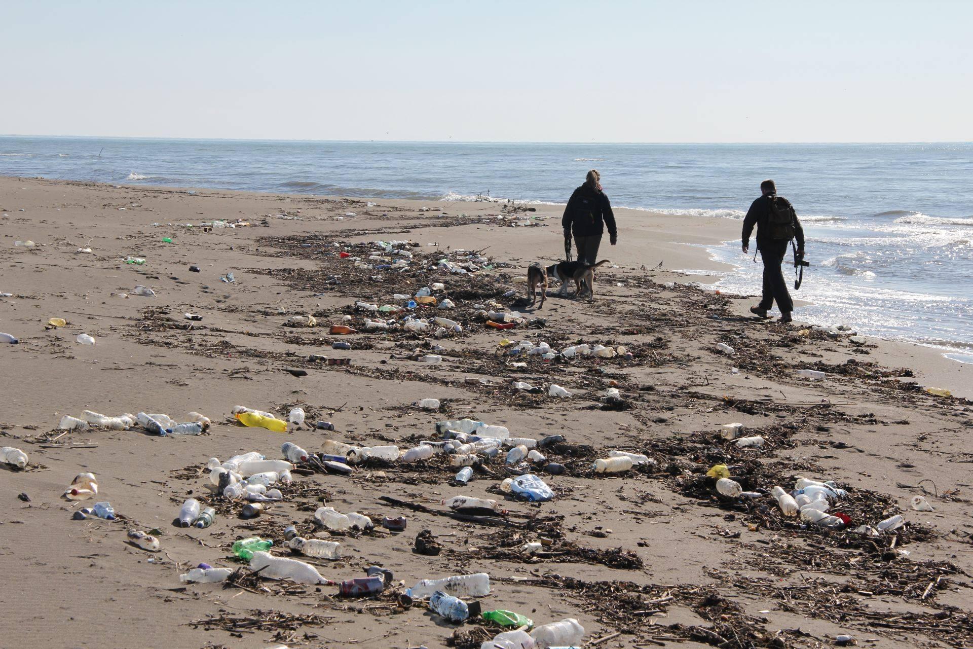 Trash Beaches