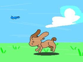Bunny Run+Animation 1 1