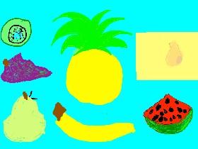 fruit touch 1