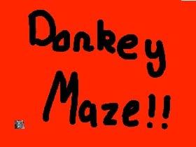 DONKEY MAZE!!