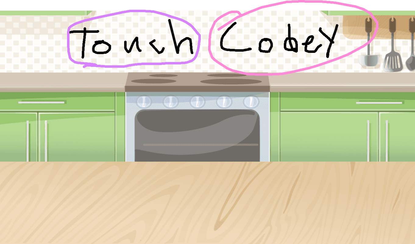 Cool Codey