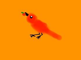 How to draw a summer tanager