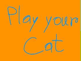 Play your Cat - 2D Game