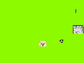 Dog Soccer