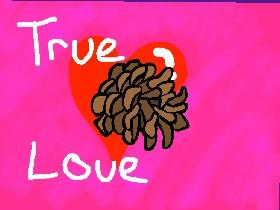 True Love ep. 2 1 1