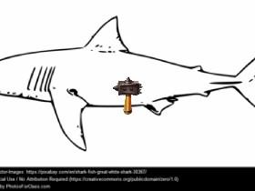 shark and hammer by Dancer2008