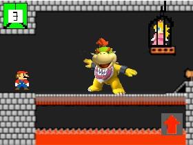 Mario Boss Battle HARD