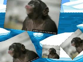 da monkey 2 1