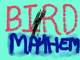 Bird Mayhem!!!