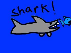 Shark! (awesome hack)