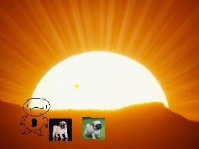 The sun and Random Kid Also cute pug