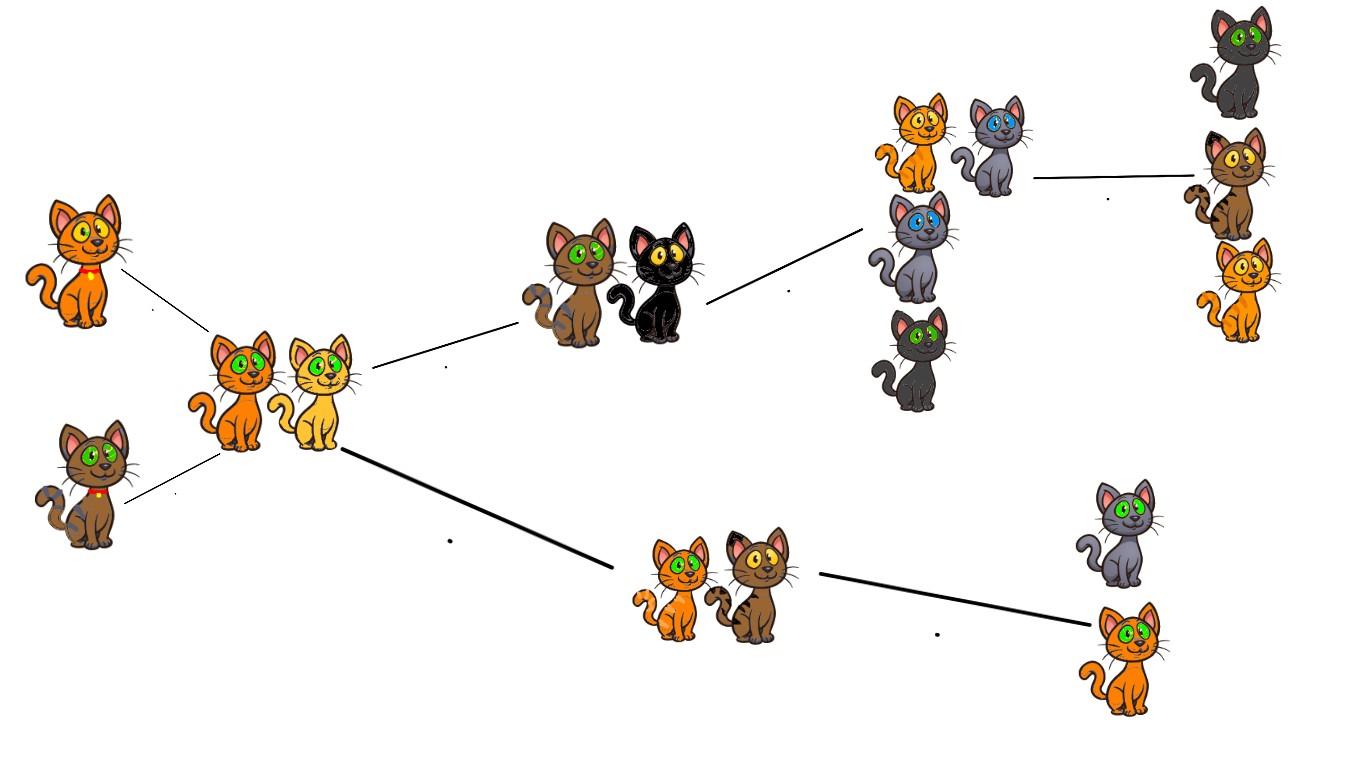 warrior cat family tree
