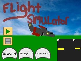 Flight Simulator  1