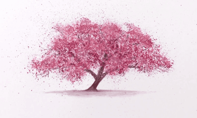 cherry blossom animation