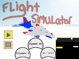 Flight Simulater