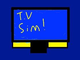 T.V Simulator! 1