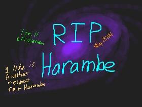 RIP HARAMBE 1