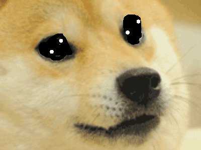 Important Message to M.R. Doge 1