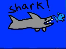 Shark! 1 