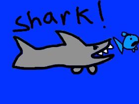 Shark! AHHH (the meg)