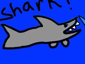 SHARK 1