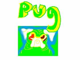 Speed Draw Pug