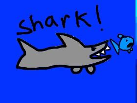 Shark!yeet 1