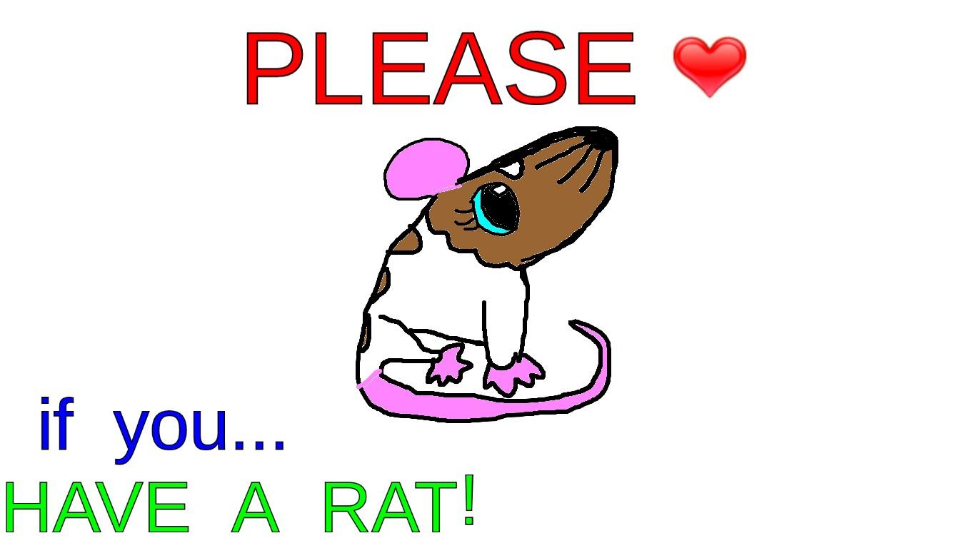 Like if you have a pet rat