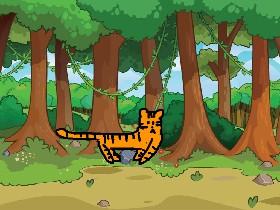 Tigress adventure 1