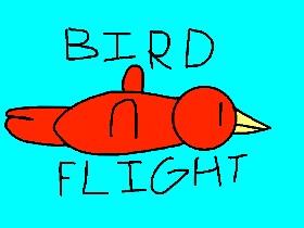 Bird Flight