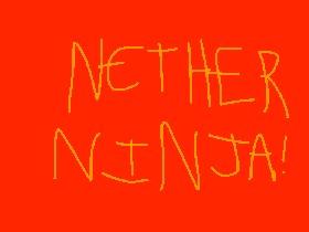 Nether Ninja