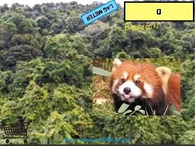 Red Panda Clicker