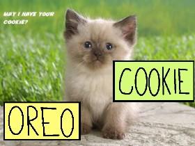 Talk To Oreo Or Cookie 1