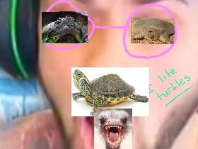 Alia likes turtles 1
