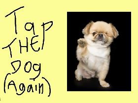 Tap the Dog (again) 1 1