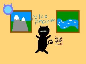 Ninja cat 1 1
