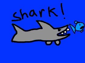 Shark Game!