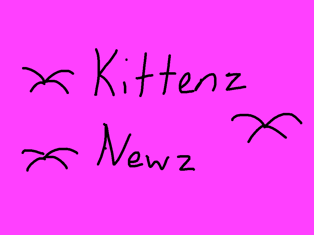 Kittenz Newz