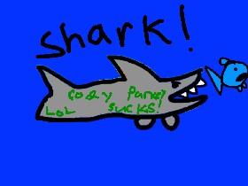 Shark! Cody Parkey Sucks