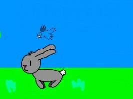Bird + Bunny Animation