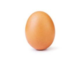 Egg - copy