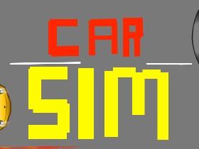 Car Sim RELEASED easy
