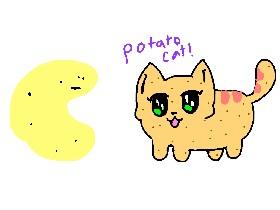Patato Art Contest! 4 mary