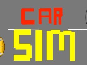 Car Sim (do not copy)