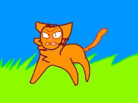 Animation cat
