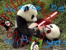 darth panda